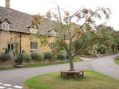 Rowan Tree and Cottages in the centre of Laverton