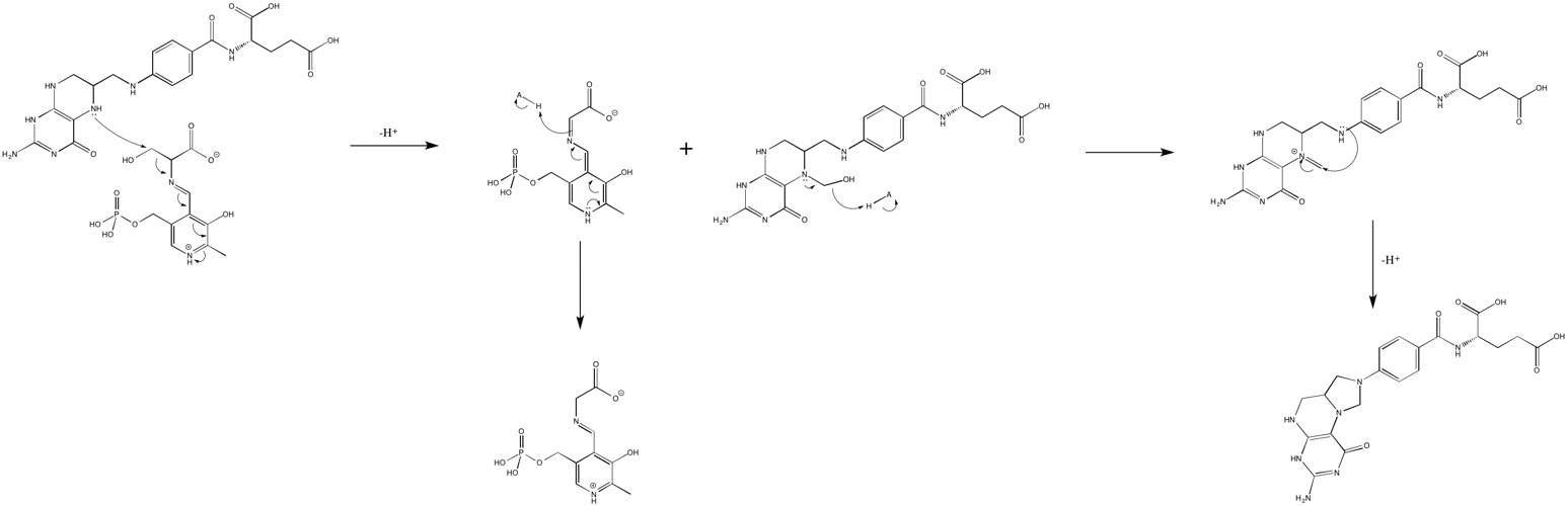 SHMT mechanism