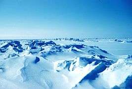  Panoramic view of a field of ridged ice stretching towards the horizon.