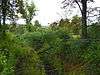 Shoemaker-Houck Farm