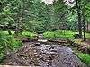 A rockky stream between two grassy banks with picnic tables, forest in the background