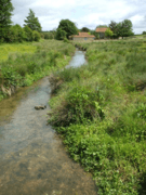 A small inland stream forms the source of a natural river water certified reference material