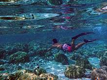 a man with a speargun is freediving over coral