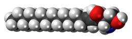 Space-filling model of the sphingosine molecule