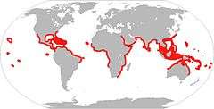 Map showing Distribution of A. Narinari