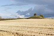 Tumulus structure at Borum