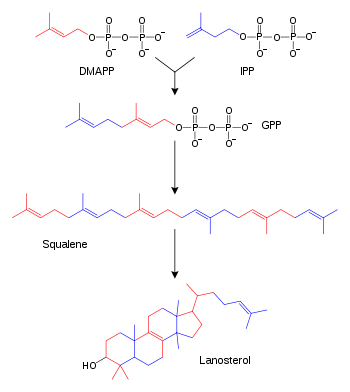 Chemical-diagram flow chart