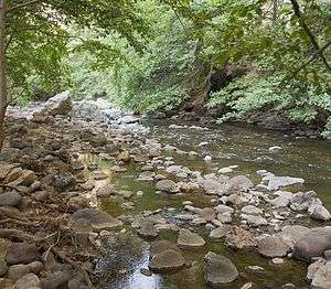 A small, rocky stream flowing through a forest