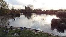 Sutcliffe Park lake