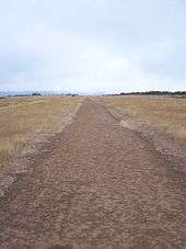 A straight dirt path leading off into the distance with brown weeds surrounding it