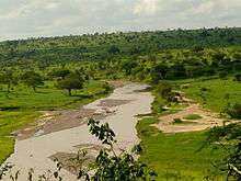 Tarangire River in Tarangire National Park