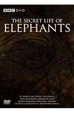 The Secret Life of Elephants DVD cover