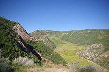 a mostly tree covered mountain side with a zig-zag shaped stripe void of trees, only grass and some fresh dirt visible.