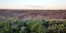 View from a highly vegetated overlook toward a relatively barren badlands of rounded buttes and small arroyos