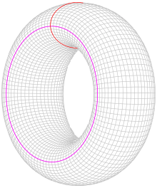 A donut shape with two circles drawn on its surface, one going around the hole and the other going through it.