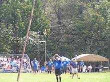 Caber Toss at the Ligonier Highland Games