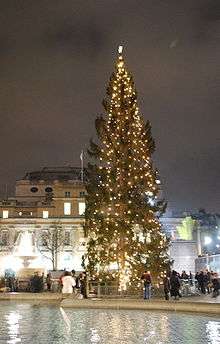 The Trafalgar Square Christmas tree