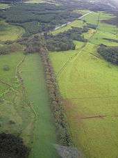 road with trees from above