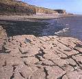 Tresilian Bay - geograph.org.uk - 664040.jpg