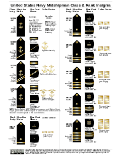 U.S. Navy Midshipman all carry the same military rank but are divided internally into 10 ranks: Midshipman 4th class, abbreviated MIDN 4/C, midshipman 3rd class, abbreviated MIDN 3/C, midshipman 2nd class, abbreviated MIDN 2/C, midshipman 1st class, abbreviated MIDN 1/C, midshipman ensign, abbreviated MIDN ENS, midshipman lieutenant junior grade, abbreviated MIDN LTJG, midshipman lieutenant, abbreviated MIDN LT, midshipman lieutenant commander, abbreviated MIDN LCDR, midshipman commander, abbreviated MIDN CDR, and midshipman captain, abbreviated MIDN CAPT. Each rank has a specific insignia on the shoulder, sleeve and collar to distinguish the rank.