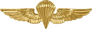 A gold image of a parachute with wings.