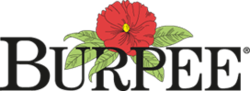 Logo of Burpee Seeds, a flower, surrounded by leaves, above the word "Burpee"