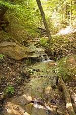 Upper portion of Wagner Falls