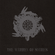 Cover art for "The Warren of Snares"