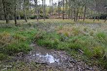 Wavendon Heath Ponds