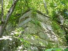 Western Abutment of the Bright Hope Railroad Bridge over Swift Creek