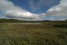 Photo d'une zone humide près du lac Tärnasjön.