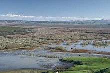 Whangamarino Wetland looking west from Falls Road alt text