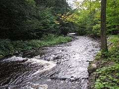 Whetstone Creek in Whetstone Gulf State Park.