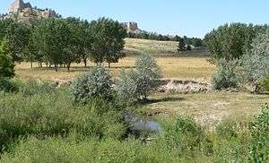 A small stream flows through grasses and shrubs at the base of a rocky hill.