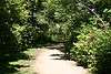 Wild Flower and Bird Sanctuary in Mahoney Park