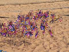 Wind controlled Toy From Panambur Beach.jpg