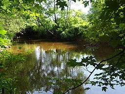 Photograph of a shallow stream. The stream appears to be about 10 metres (33 ft) wide. Both banks are heavily wooded. The stream curves noticeably.