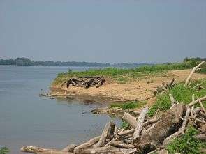 Yankeetown Archeological Site