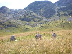 the Zelengora mountains