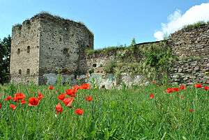 Photo of Zoloty Potik Castle.